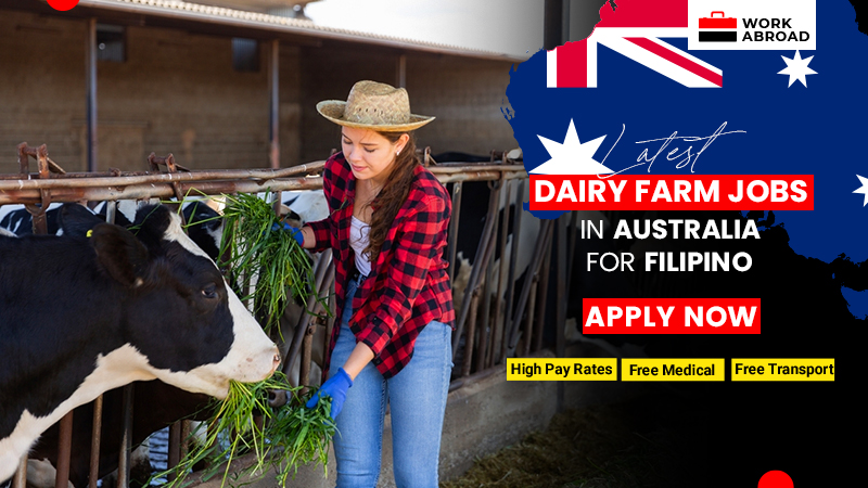 Dairy Farm Australia